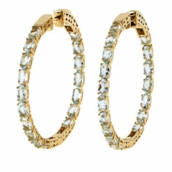 Budget 🛒 Colleen Lopez Collection Colleen Lopez Exotic Gemstone Hoop Earrings Aquamarine 🌟