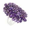 Discount 👍 Colleen Lopez Collection Colleen Lopez Sterling Silver Gemstone Cluster Ring 👏
