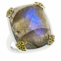 Budget ✔️ Colleen Lopez Collection Colleen Lopez Blue Labradorite And Green Diamond Sterling Silver Ring 😍